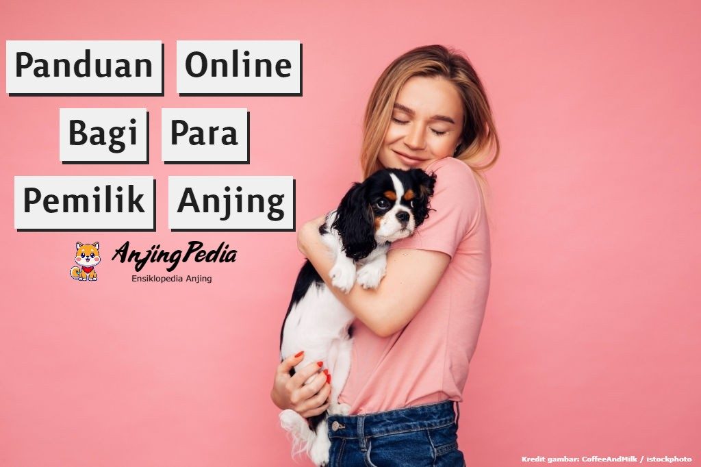 Tentang Kami 1 Tentang Anjingpedia