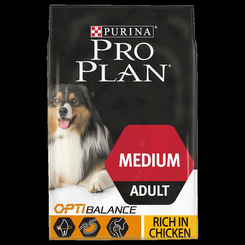 Rekomendasi Makanan Anjing Terbaik 11 Makanan Anjing Terbaik