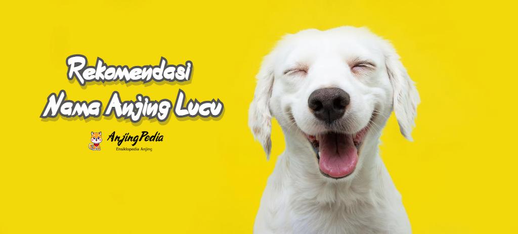 Rekomendasi Nama Anjing Lucu
