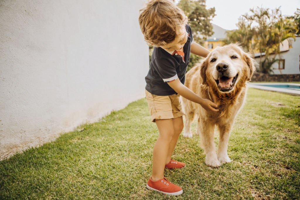 Perbandingan Umur Anjing dan Manusia