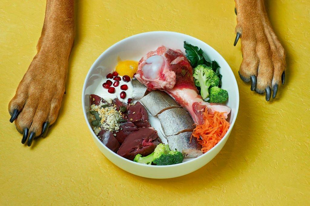 Perbedaan Anjing dan Serigala